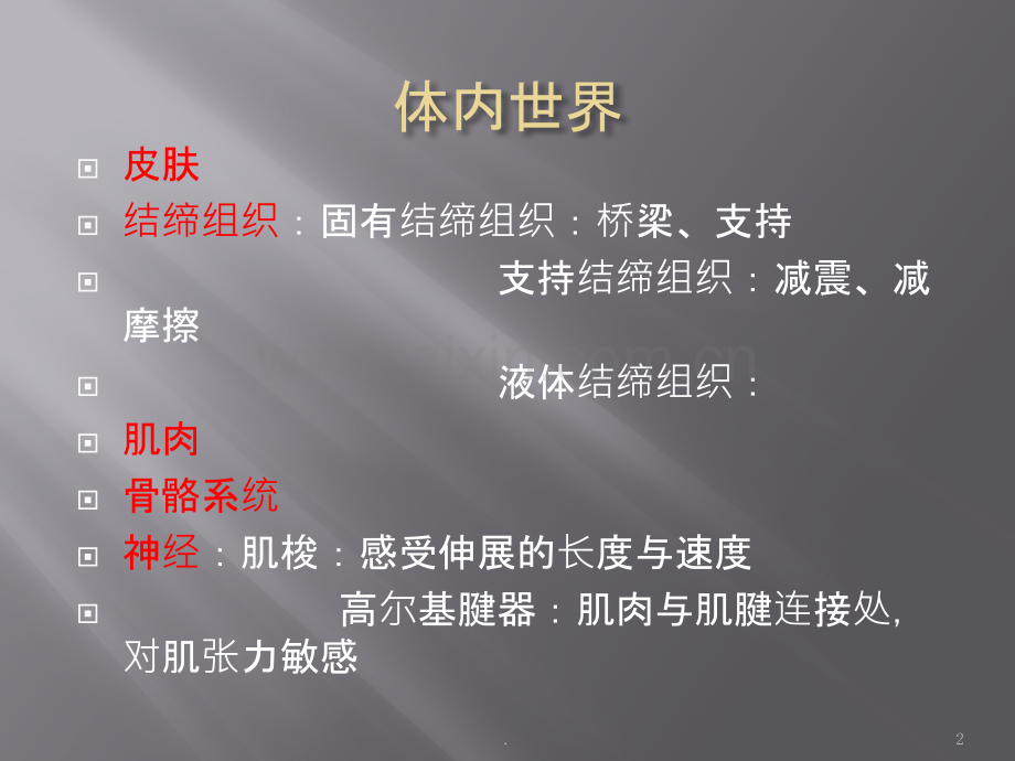 瑜伽小解剖ppt课件.pptx_第2页