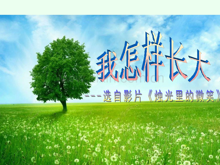 《我怎样长大》课件.ppt_第2页