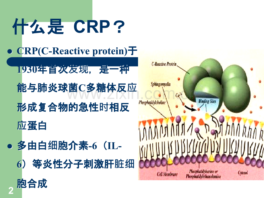 超敏CR儿科疾病应用体会ppt课件.ppt_第2页