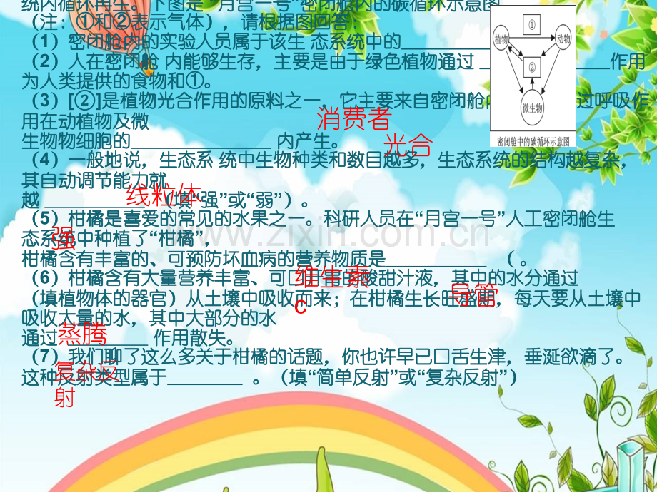 中考主观试题ppt课件.pptx_第1页