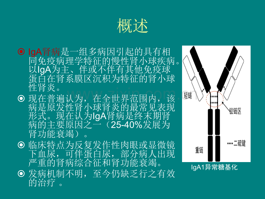 扁桃体切除对IgA肾病的影响ppt课件.ppt_第2页