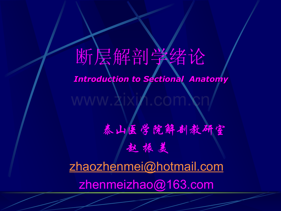 introduction-to-sectional-anatomyppt课件.ppt_第1页