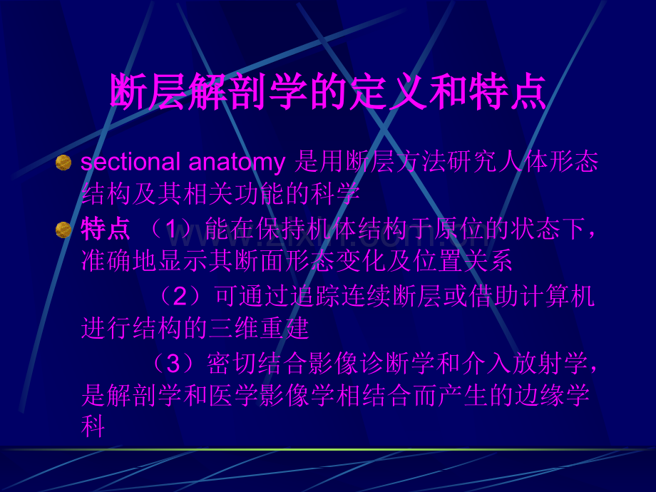 introduction-to-sectional-anatomyppt课件.ppt_第2页