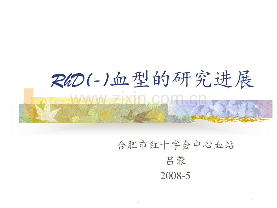RhD(-)血型研究进展PPT课件.ppt_第1页