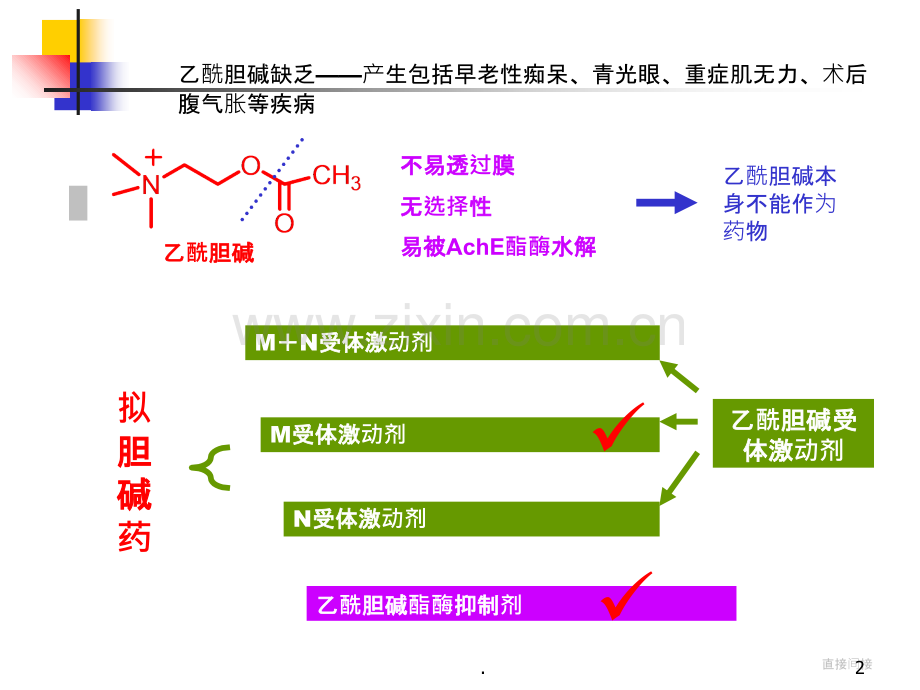 章外周神经药物PPT课件.ppt_第2页