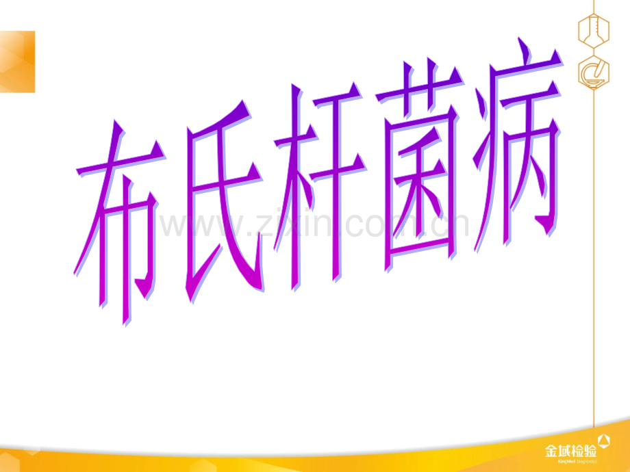 布氏杆菌ppt课件.ppt_第1页