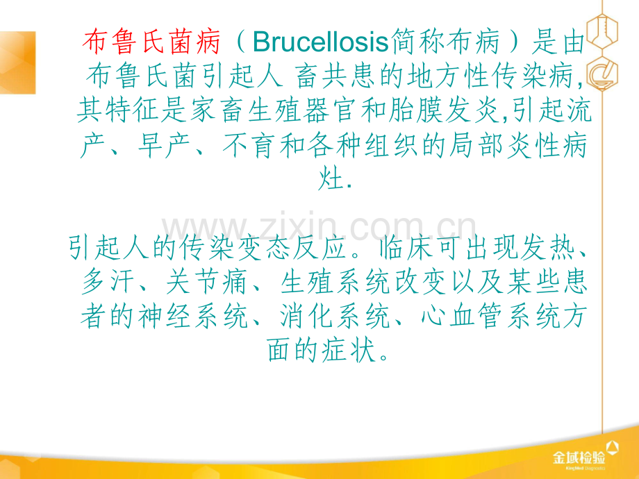 布氏杆菌ppt课件.ppt_第2页