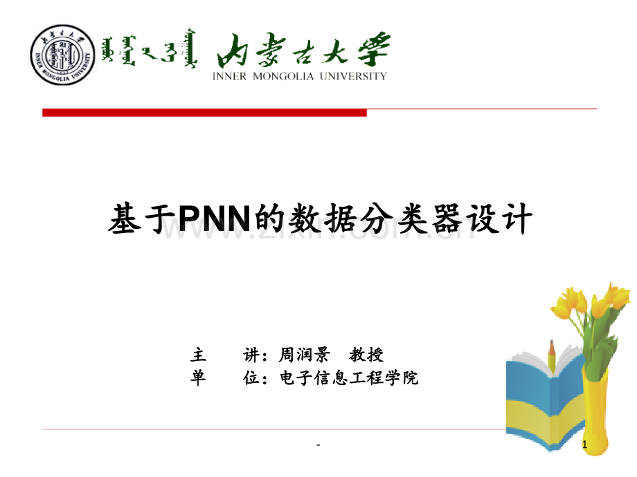 pnn设计PPT课件.pptx_第1页