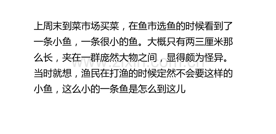 一条小鱼PPT课件.pptx_第1页