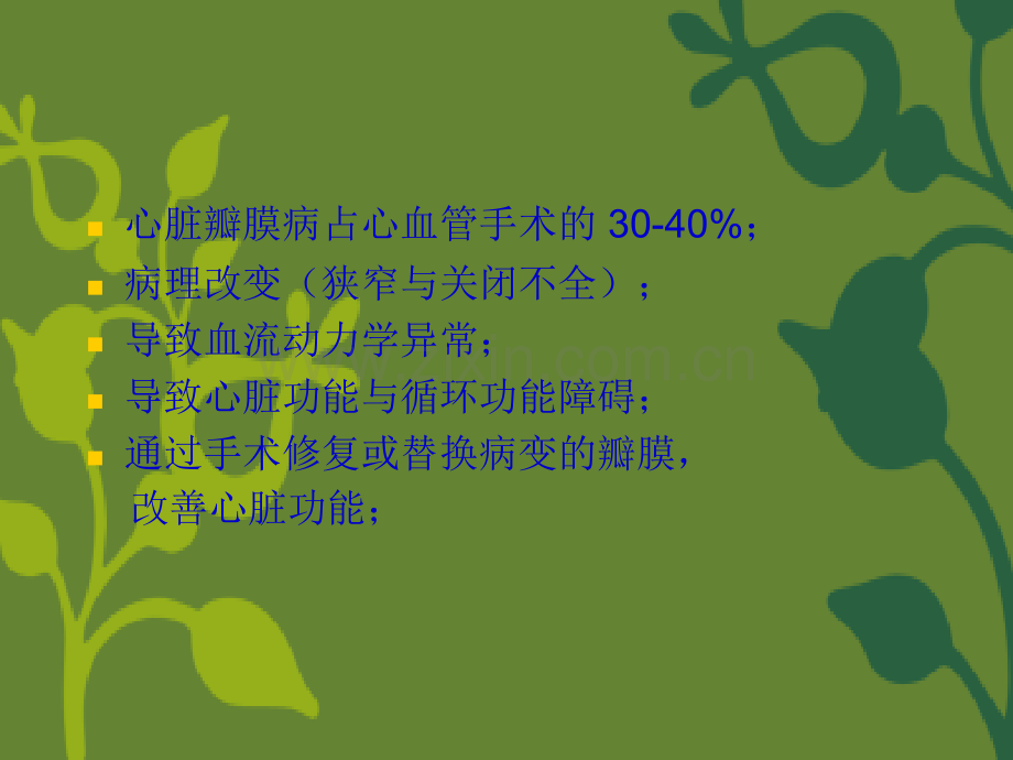 心瓣膜cb管理.ppt_第2页