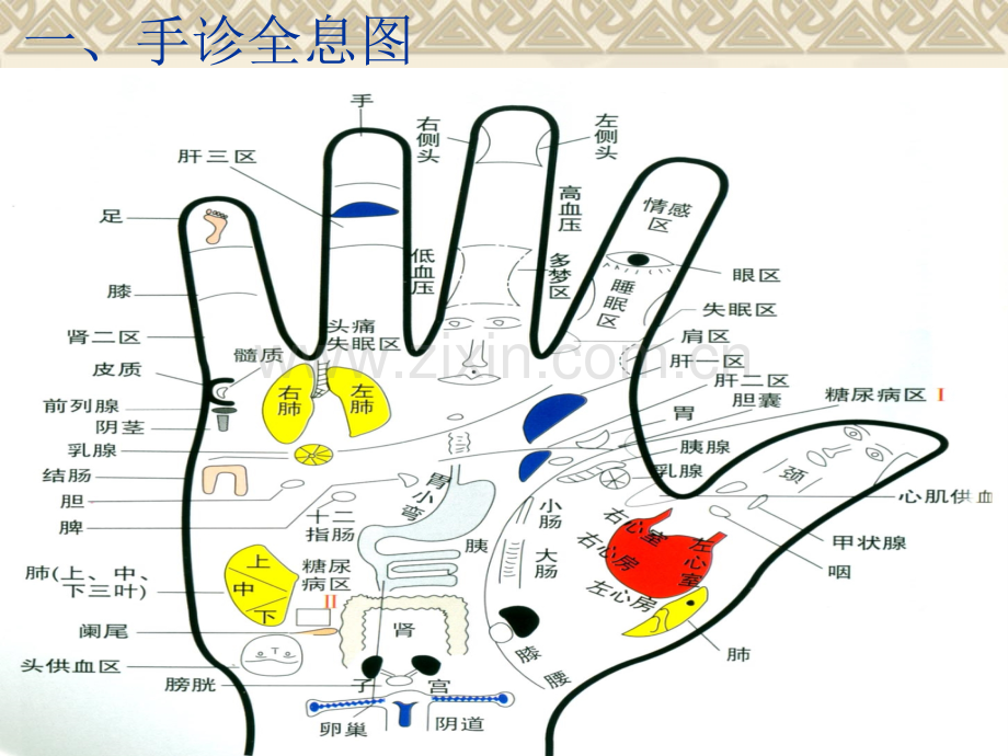 中医手诊课程.ppt_第2页