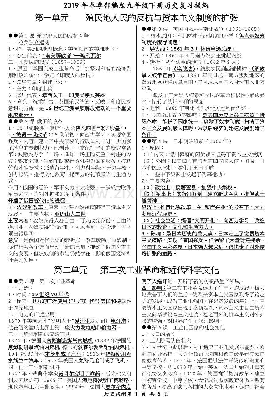人教部编版九年级下历史复习提纲.doc_第1页
