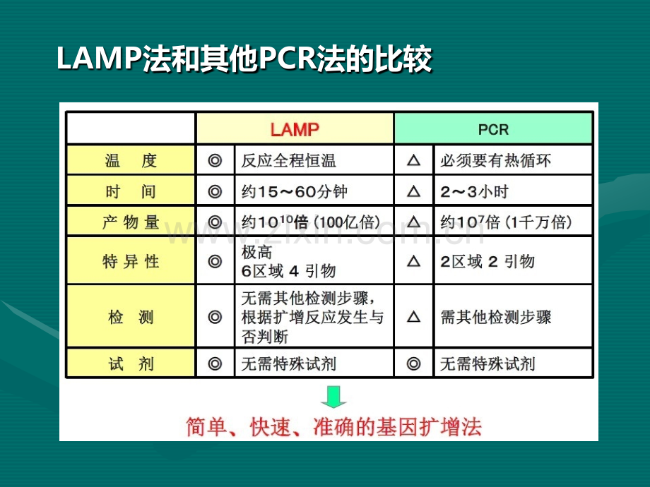 LAMP技术及应用.ppt_第3页