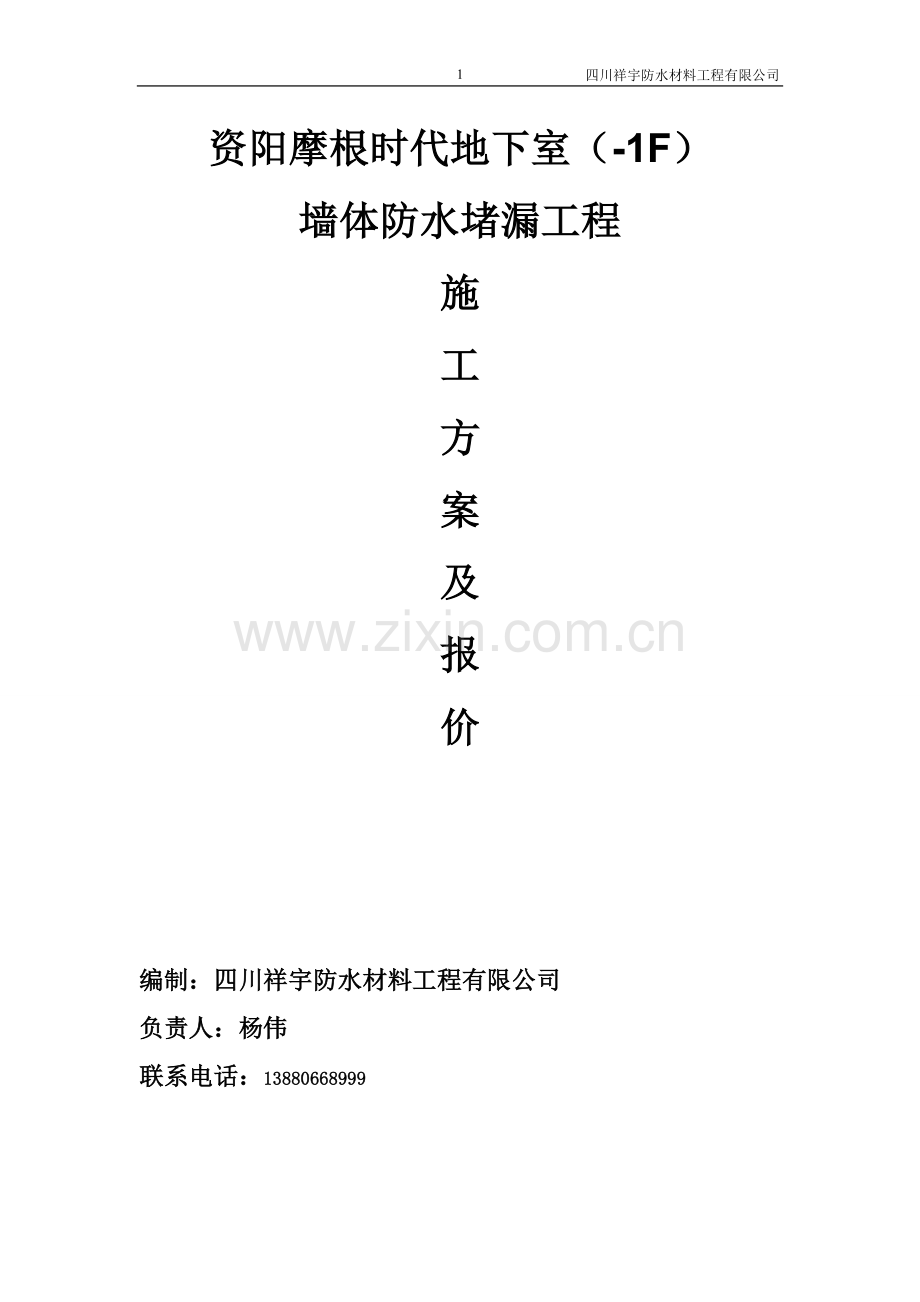 防水堵漏施工方案.doc_第1页