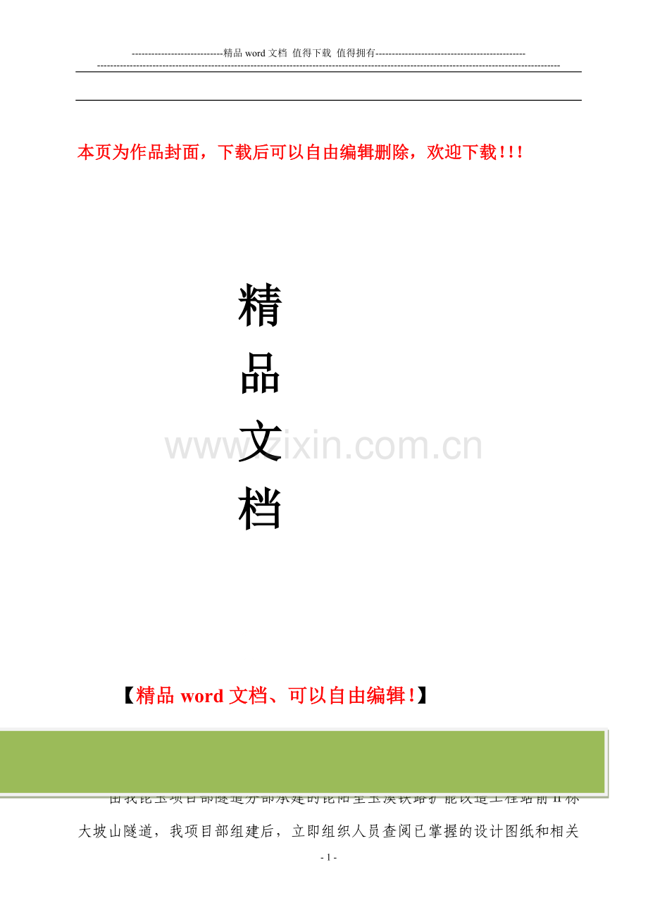 大坡山隧道施工调查报告.doc_第1页