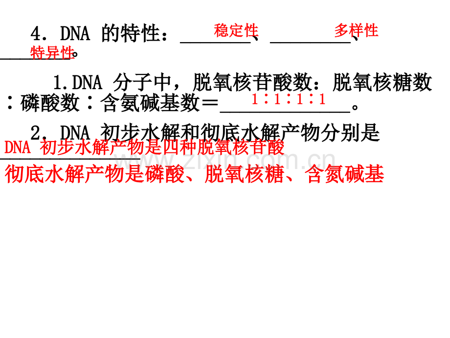 必修二节DNA分子的结构DNA分的复制DNA是有遗传效应的DNA片段PPT课件.ppt_第3页