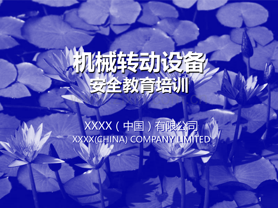 XXXX(中国)有限公司机械转动设备培训PPT课件.ppt_第1页