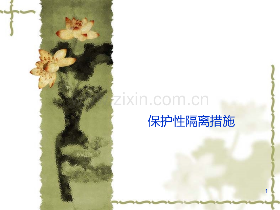 保护性隔离PPT课件.ppt_第1页