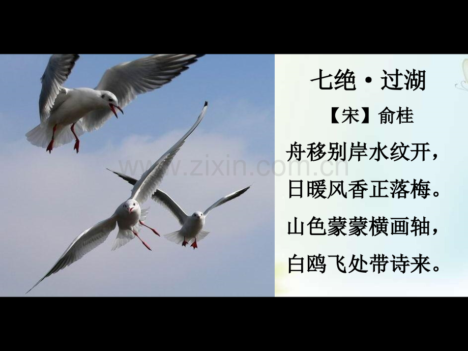 《老人与海鸥》完美版PPT课件.ppt_第2页