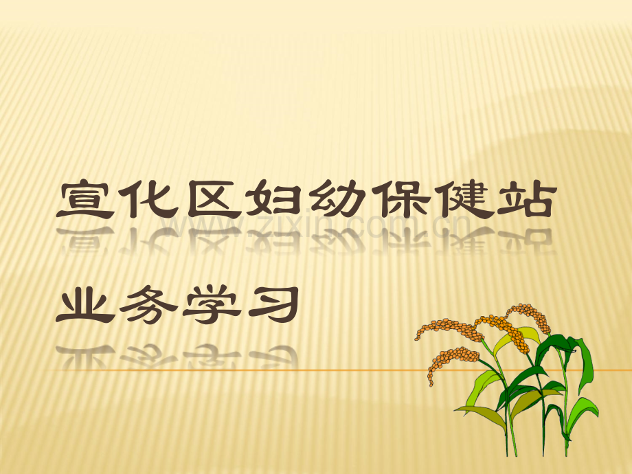 妇幼标准化建设.ppt_第1页