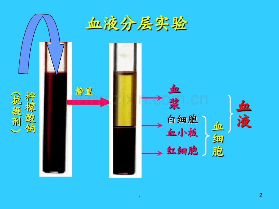 第四章复习1PPT课件.ppt_第2页