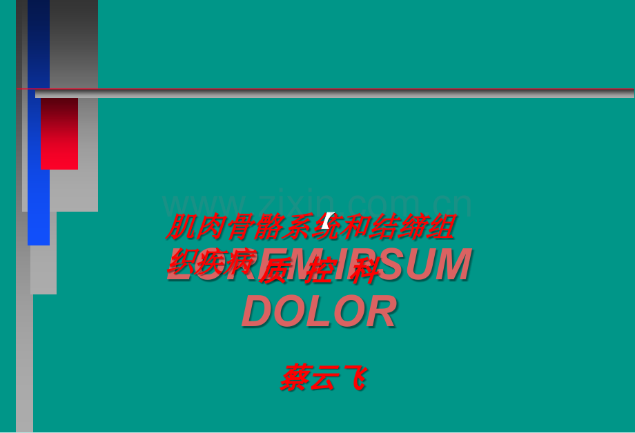 肌肉骨骼系统凤城医院用ppt课件.pptx_第1页