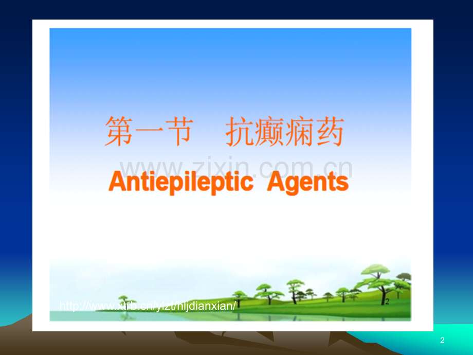 癫痫的(医学)课件PPT.ppt_第2页