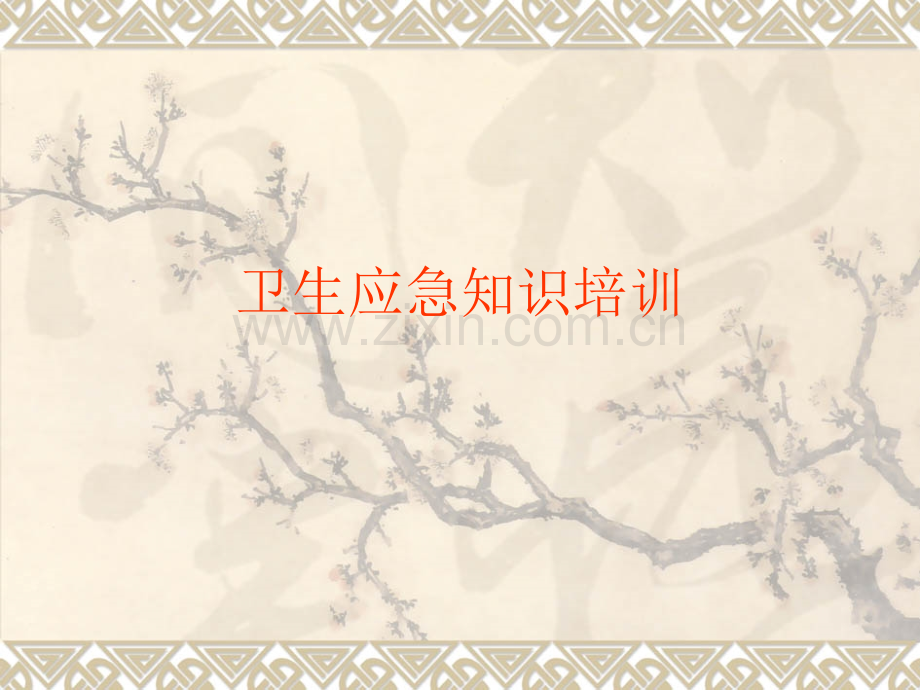 卫生应急知识培训.ppt_第1页