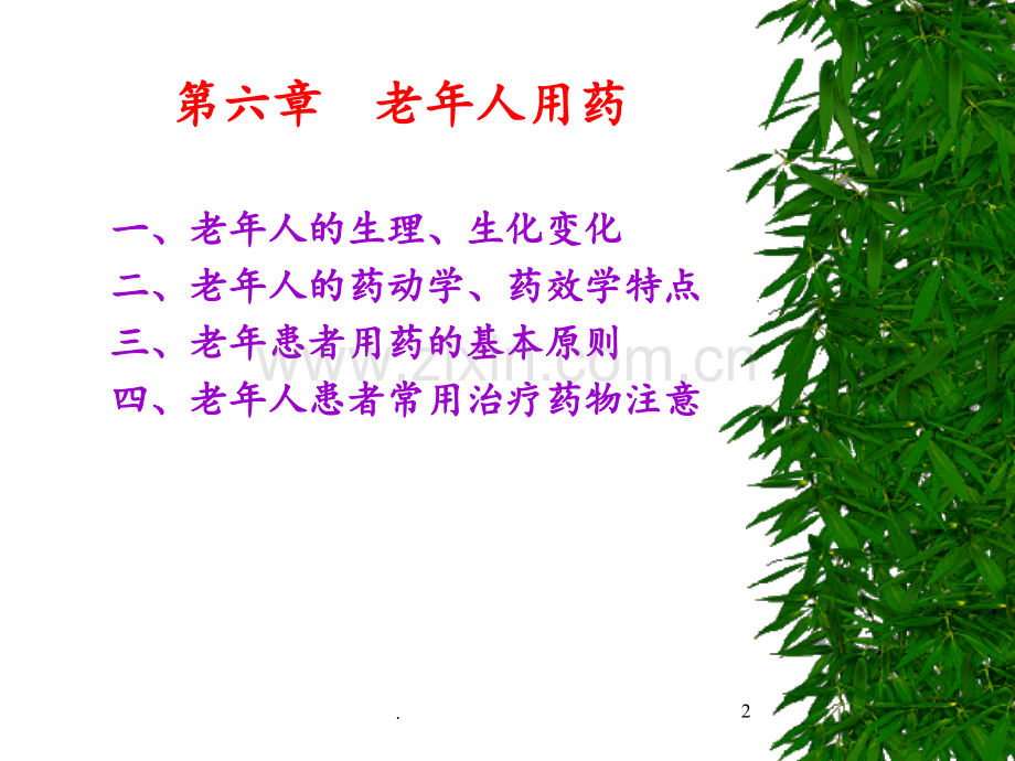 第十章-老年人用药PPT课件.ppt_第2页
