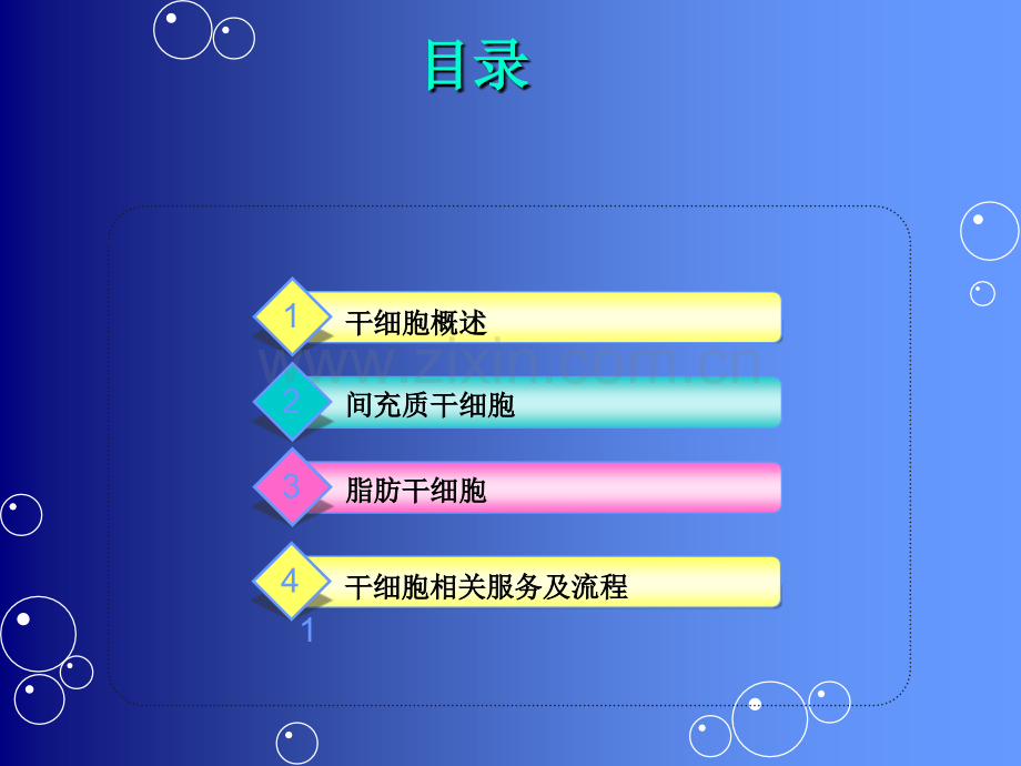 干细胞基础知识(新员工培训用).ppt_第2页