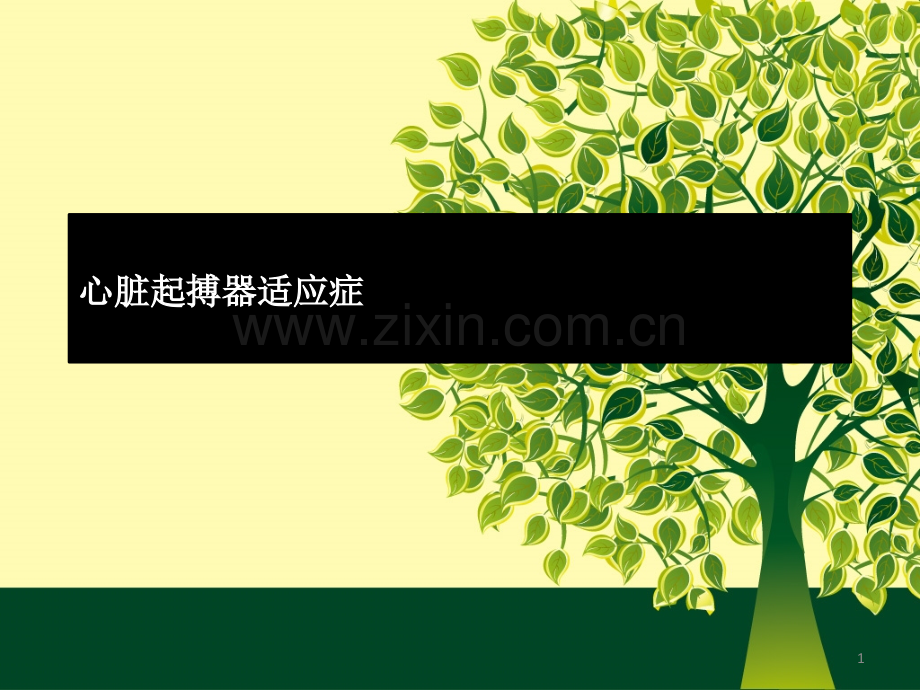 主要心脏起搏器的适应证ppt课件.pptx_第1页