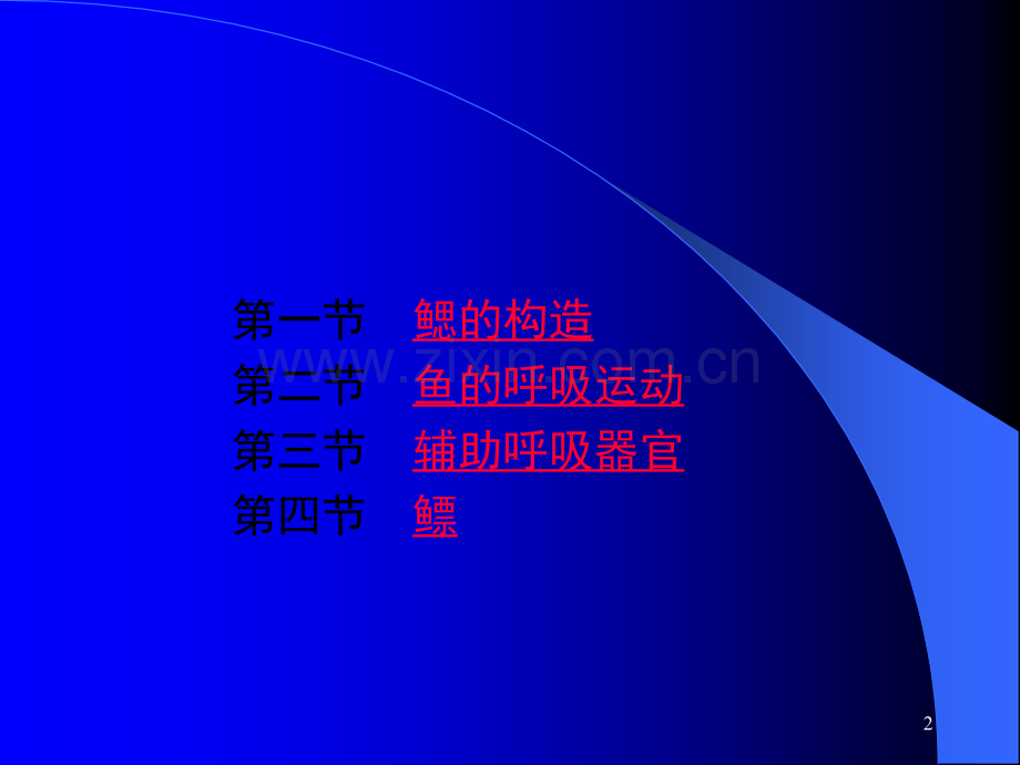 07鱼类的呼吸系统.ppt_第2页