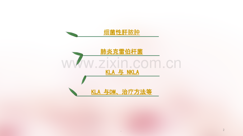 肺炎克雷伯杆菌性肝脓肿ppt课件.ppt_第2页