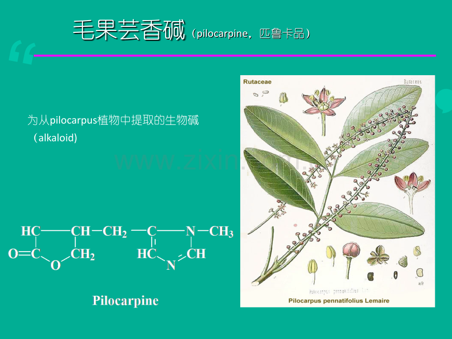 M胆碱受体激动药ppt课件.ppt_第2页