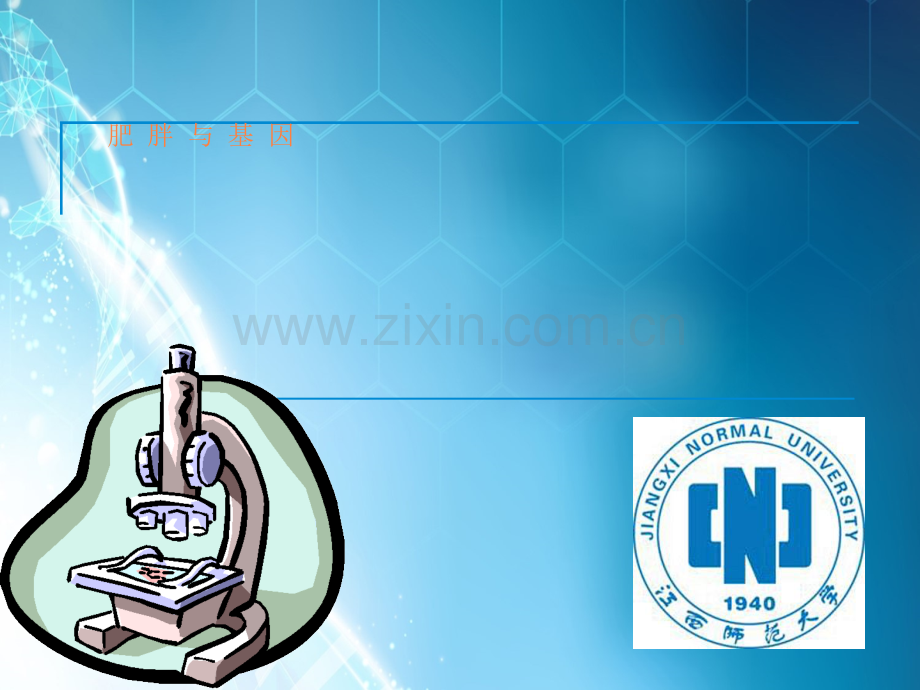 肥胖与疾病ppt课件.ppt_第1页