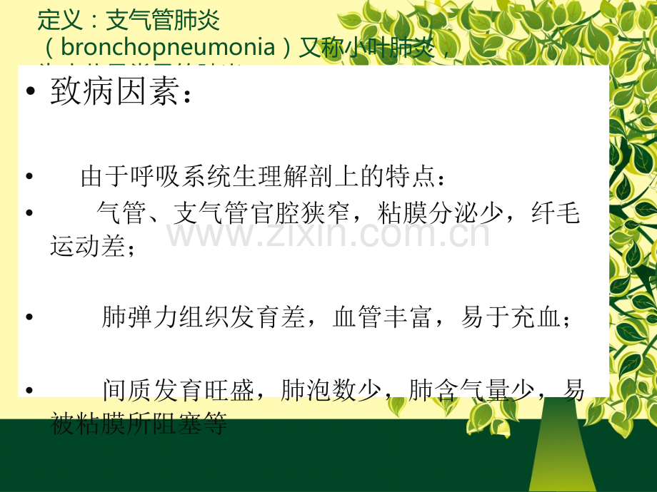 支气管肺炎.pptx_第2页