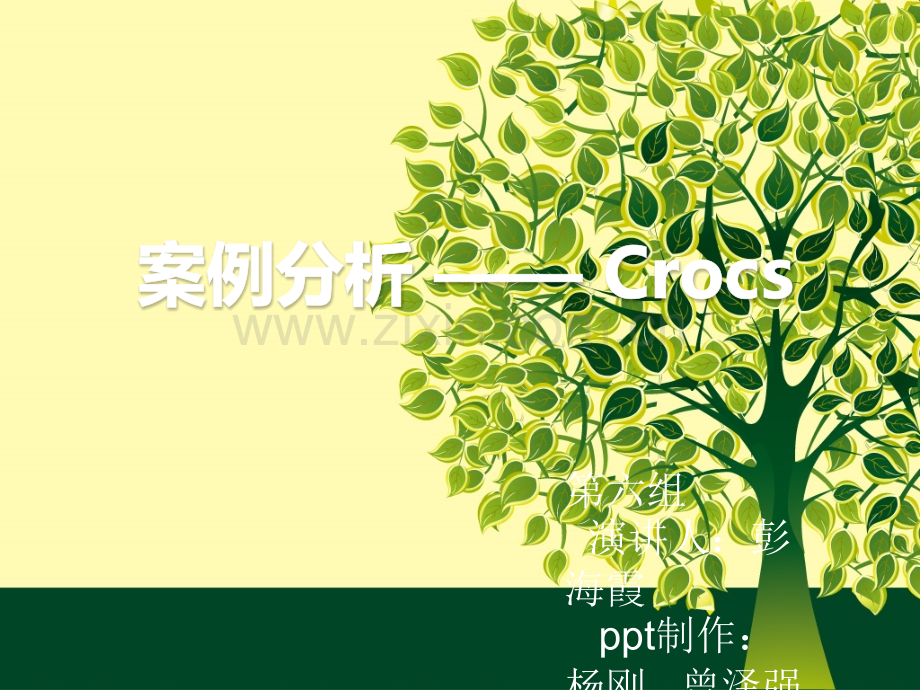 cross市场营销案例分析.ppt_第1页