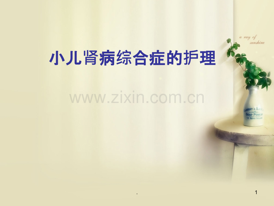 小儿肾病综合症的护理.ppt_第1页