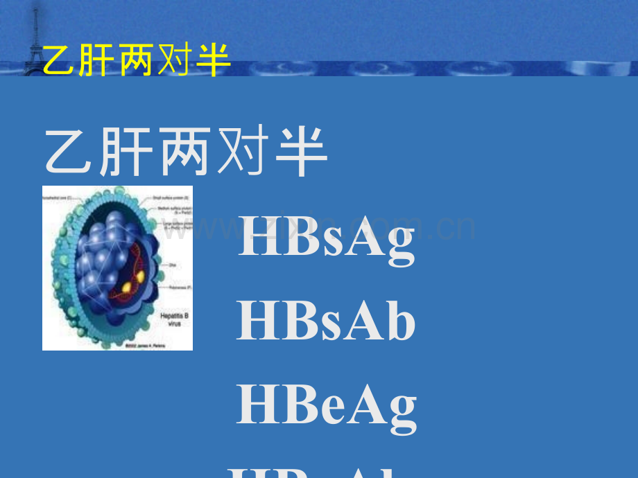 乙肝五项课件ppt课件.ppt_第1页