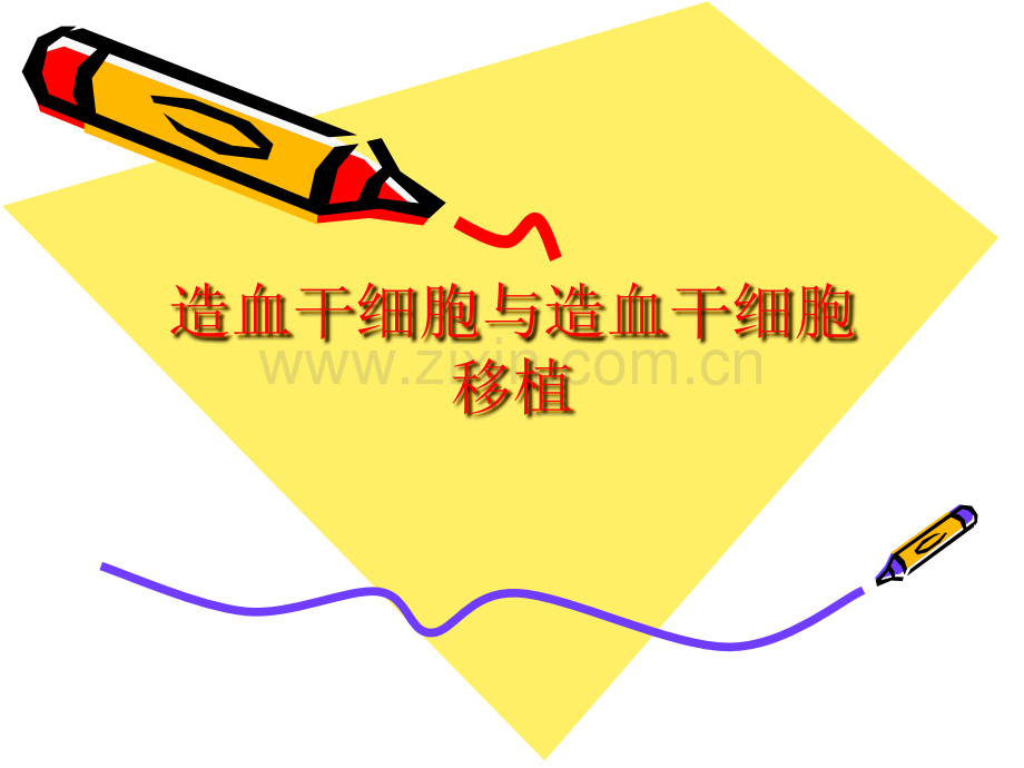 造血干细胞与造血干细胞移植模板.ppt_第1页