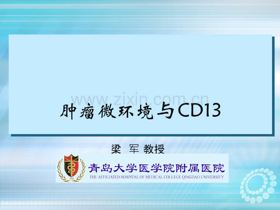 肿瘤微环境与CD13ppt.ppt_第1页