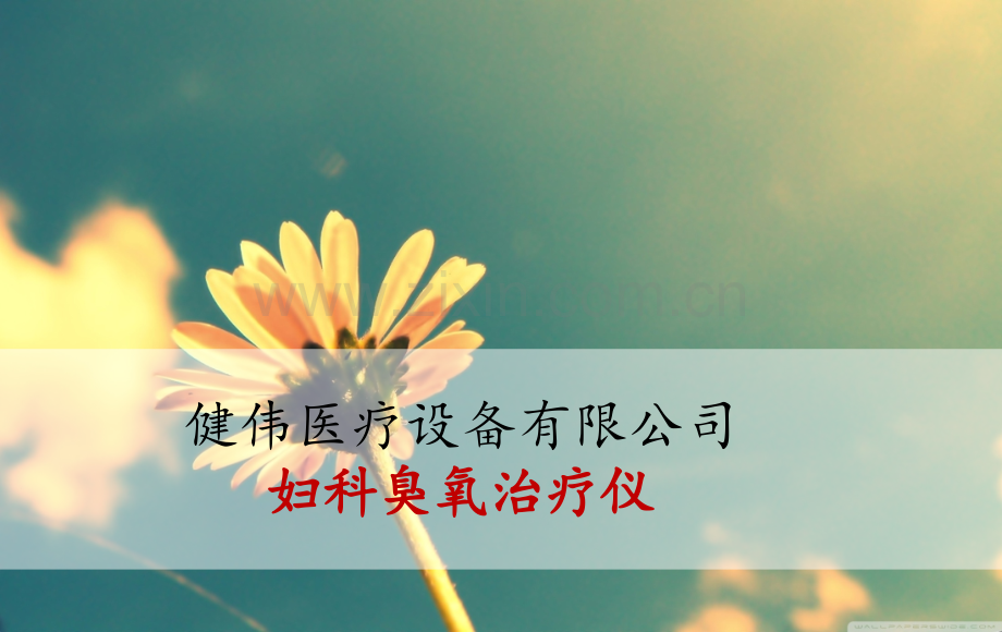妇科臭氧治疗仪分析(2)PPT课件.ppt_第1页