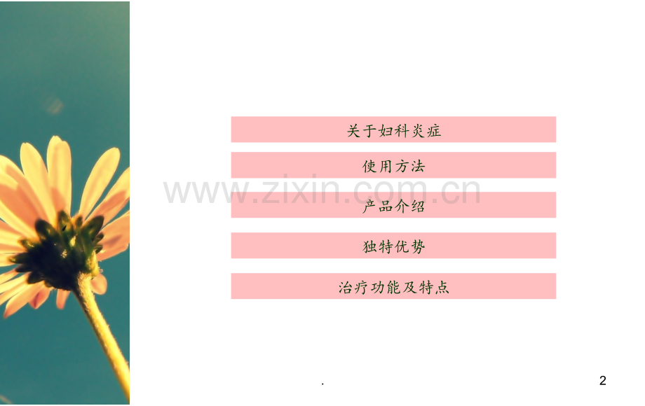 妇科臭氧治疗仪分析(2)PPT课件.ppt_第2页