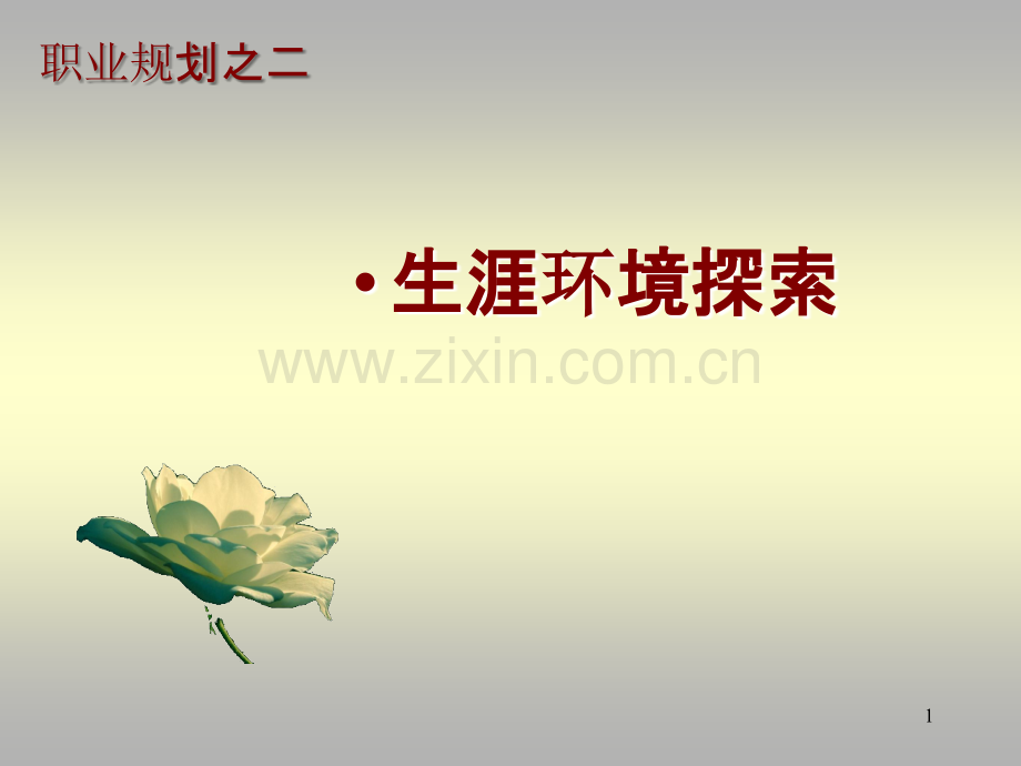 职业生涯规划第三讲-PPT课件.ppt_第1页