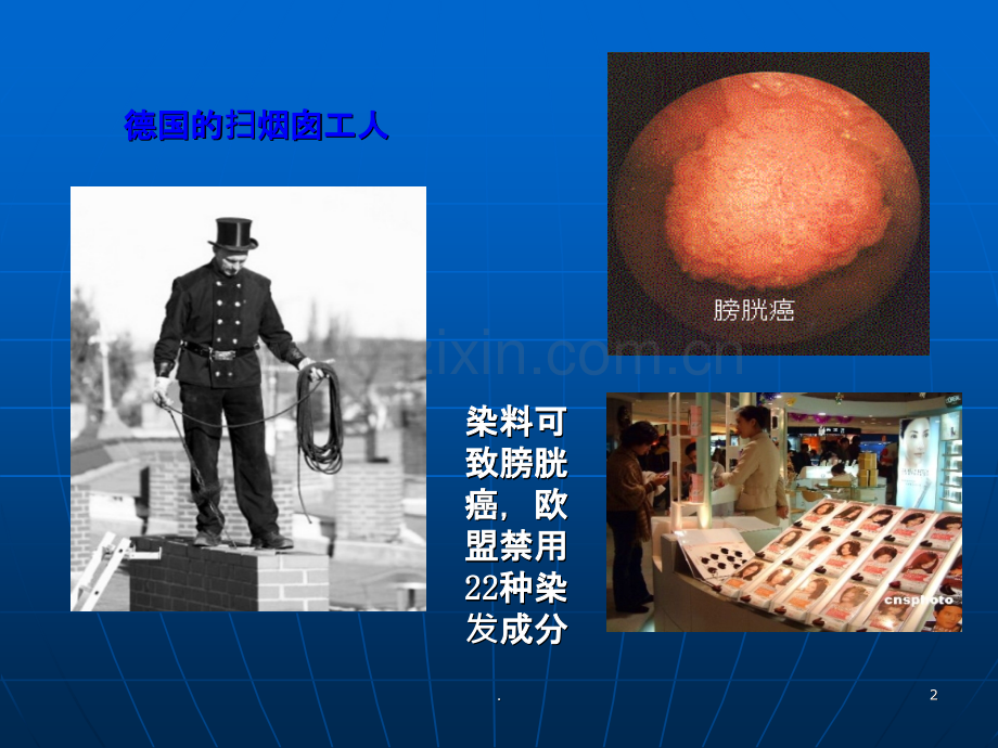 职业性肿瘤.ppt_第2页