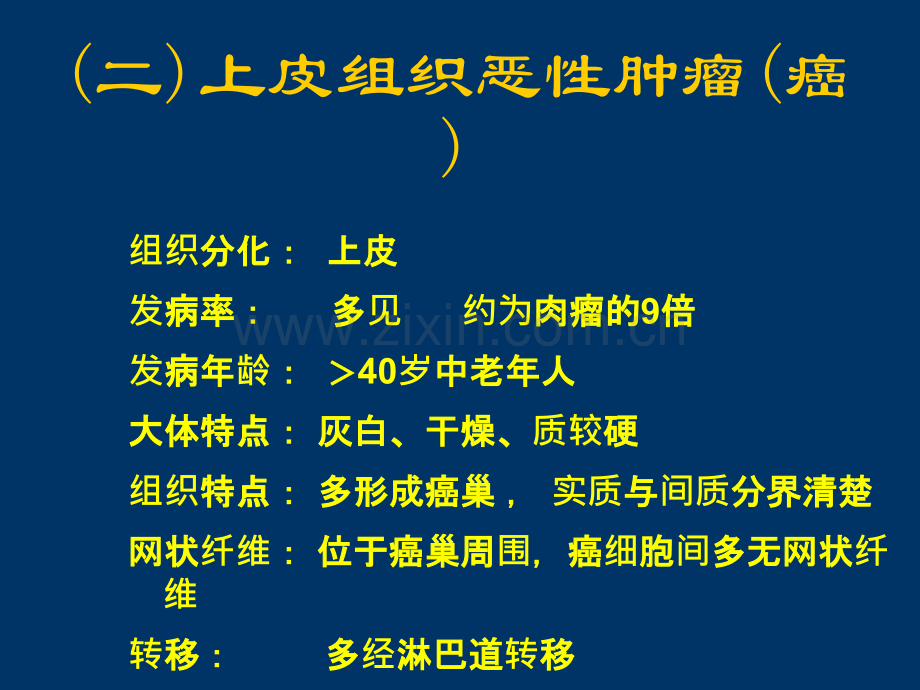 病理解剖学-肿瘤五ppt课件.ppt_第1页