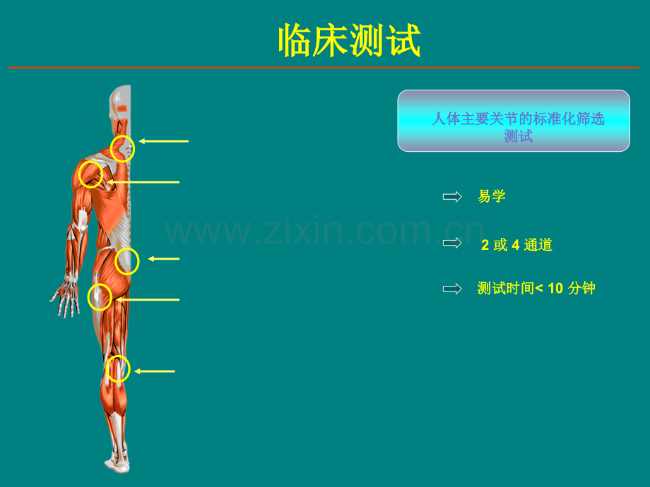 表面肌电临床应用ppt课件.ppt_第1页