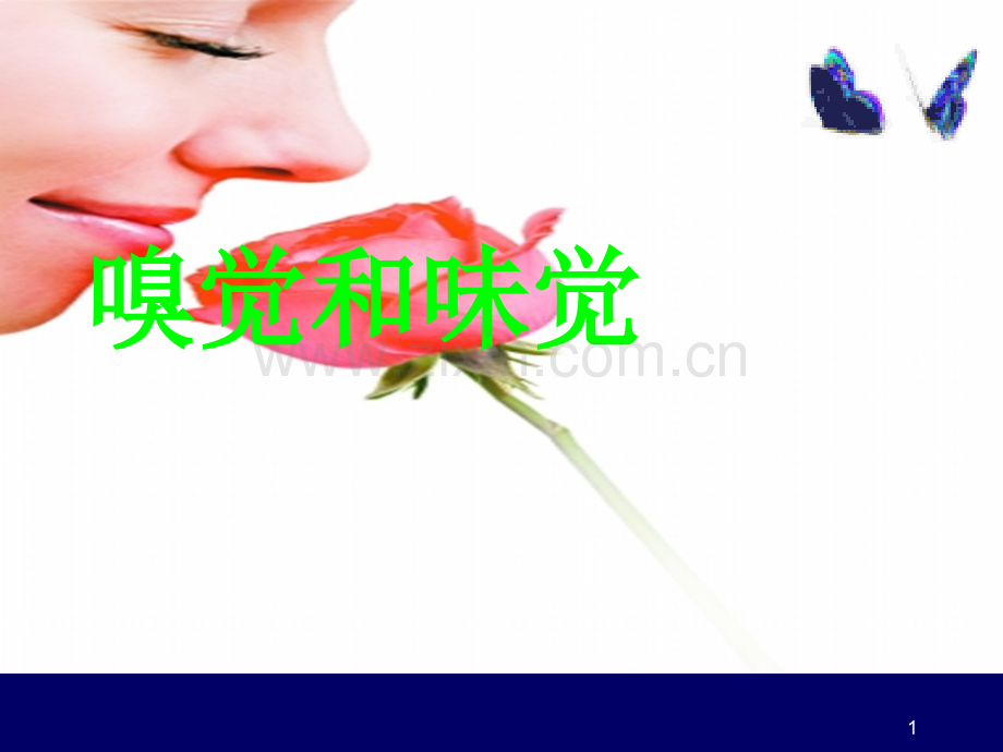 嗅觉和味觉ppt课件.pptx_第1页
