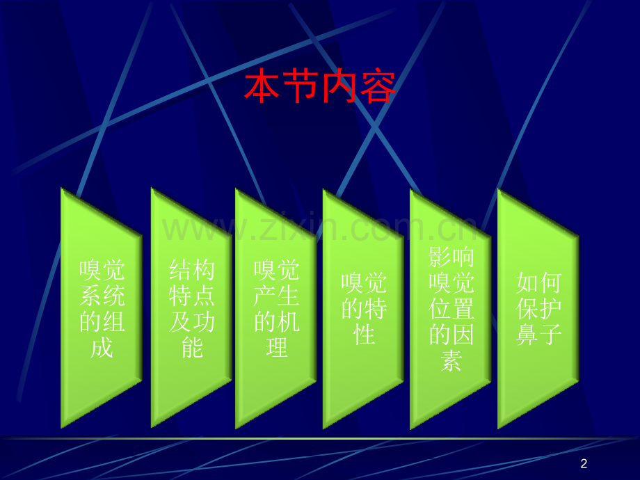 嗅觉和味觉ppt课件.pptx_第2页