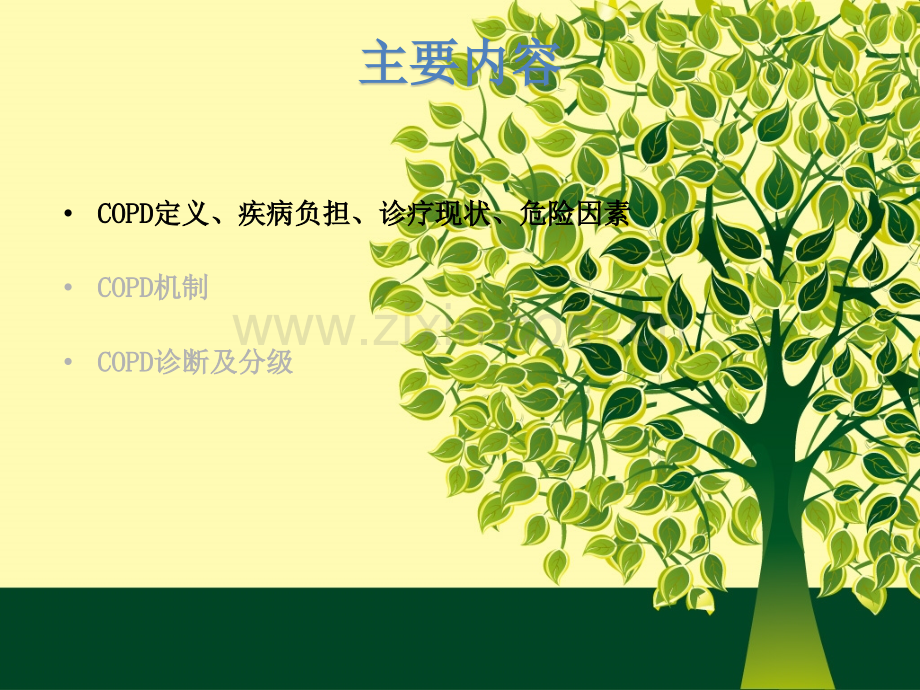 COPD发病机制和诊疗.ppt_第2页